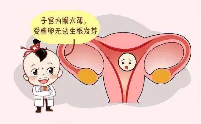 子宫内膜出问题，做泰国试管婴儿要怎么调理？