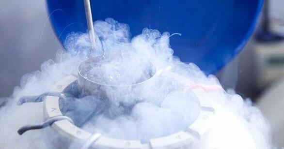 试管婴儿胚胎的冷冻费用是多少