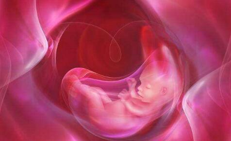 泰国试管婴儿优点，子宫内膜息肉会影响试管婴儿吗?