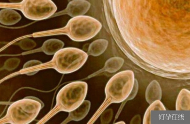 广西备孕试管婴儿知识_超级精子是什么，精子活力太高也会造成不育？