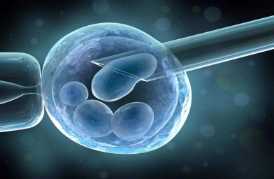 广西格鲁吉亚ReproArt诊所专家解释取卵对卵巢的伤害大吗？