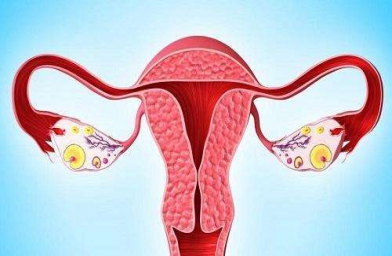 广西格鲁吉亚ReproArt诊所专家解释取卵后卵巢该如何保养？