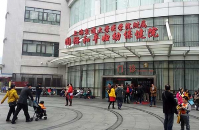 广西上海做试管助孕，上海国妇婴试管婴儿成功率和费用是怎样？